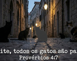 À noite, todos os gatos são pardos